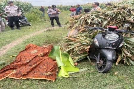 Geger, Mayat Pria Paruh Baya Ditemukan Tergeletak di Tengah Hutan Grobogan