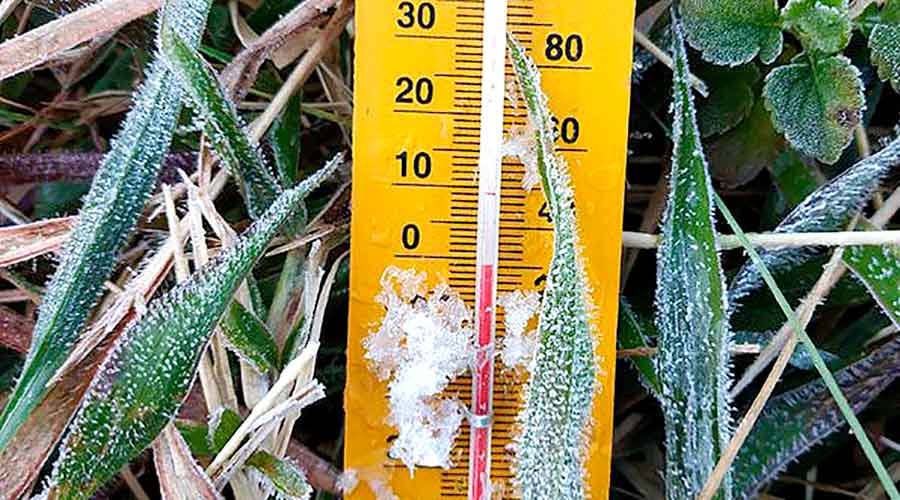 Suhu Minus 3,61 Derajat, Warga Dieng ”Panen” Es