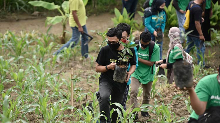 Banyak Pohon Penghijauan di Patiayam Hilang 