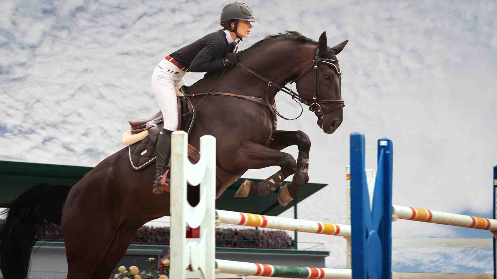 Pordasi Didorong Kembangkan Berkuda Menuju Sport Tourism