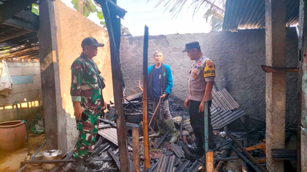Ditinggal Ngarit, Sapi di Grobogan Terpanggang dalam Kebakaran
