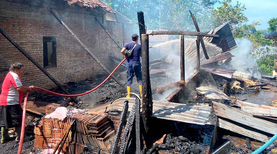 Rumah Jagal di Pati Kebakaran, 350 Ayam Terpanggang