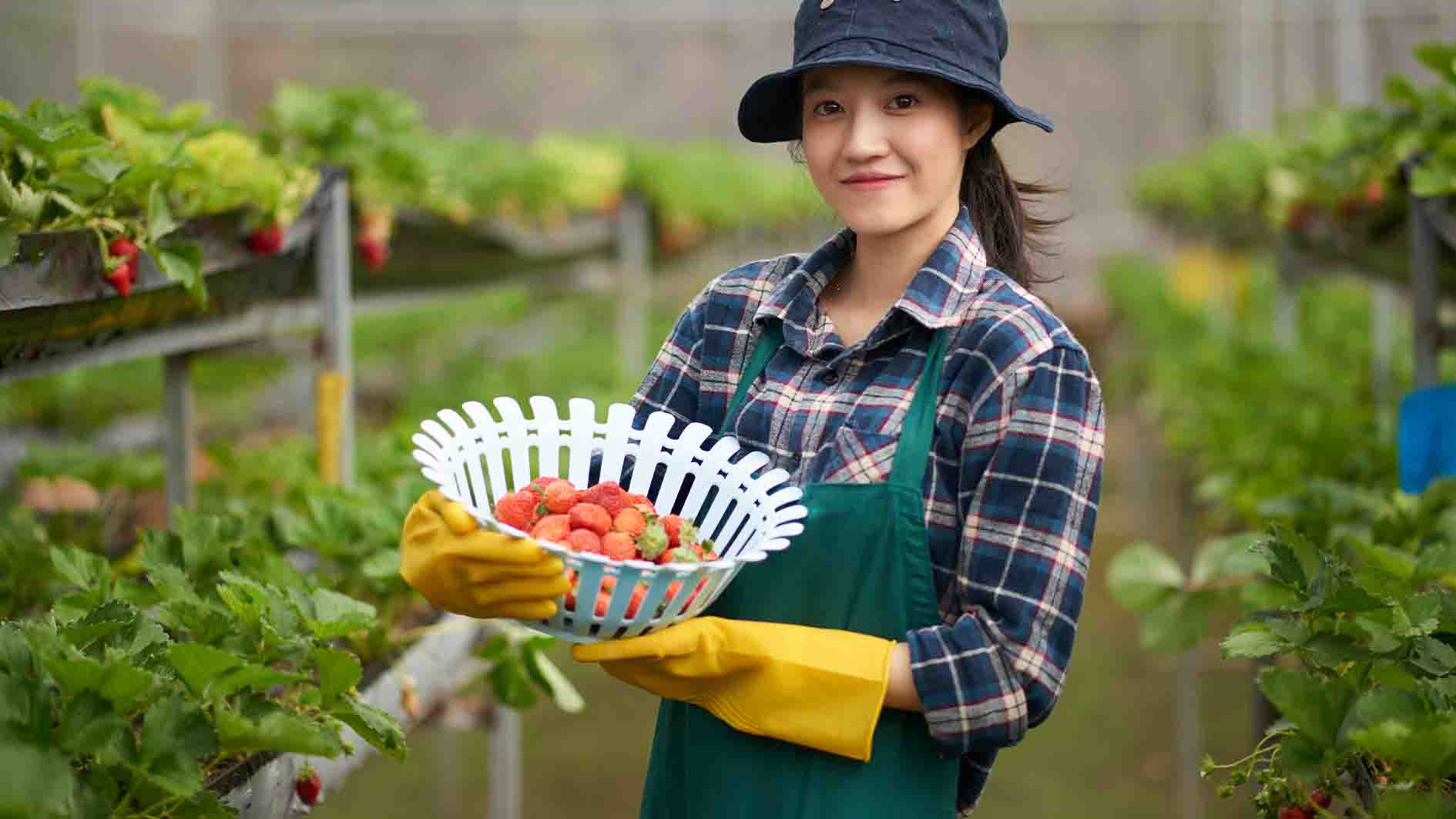 Minimnya Petani Milenial Jadi PR Besar Pemkab Jepara