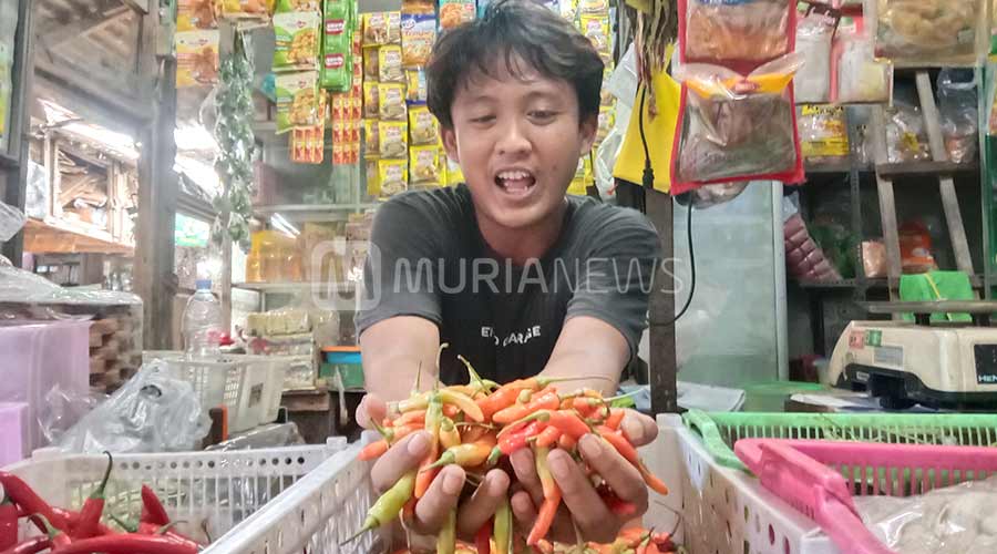 Ini Penyebab Harga Cabai Semakin Pedas di Pati