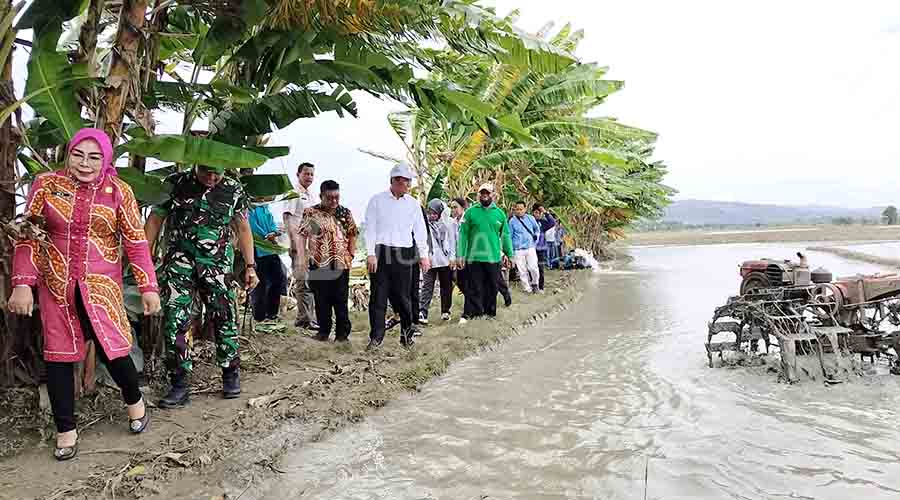 Datang ke Grobogan, Menteri Amran Sulaiman Disambati Pupuk