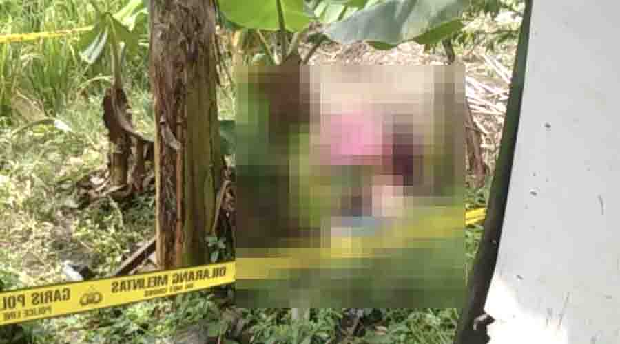 Penemuan Mayat Perempuan di Gubug Grobogan, Ini Kata Polisi