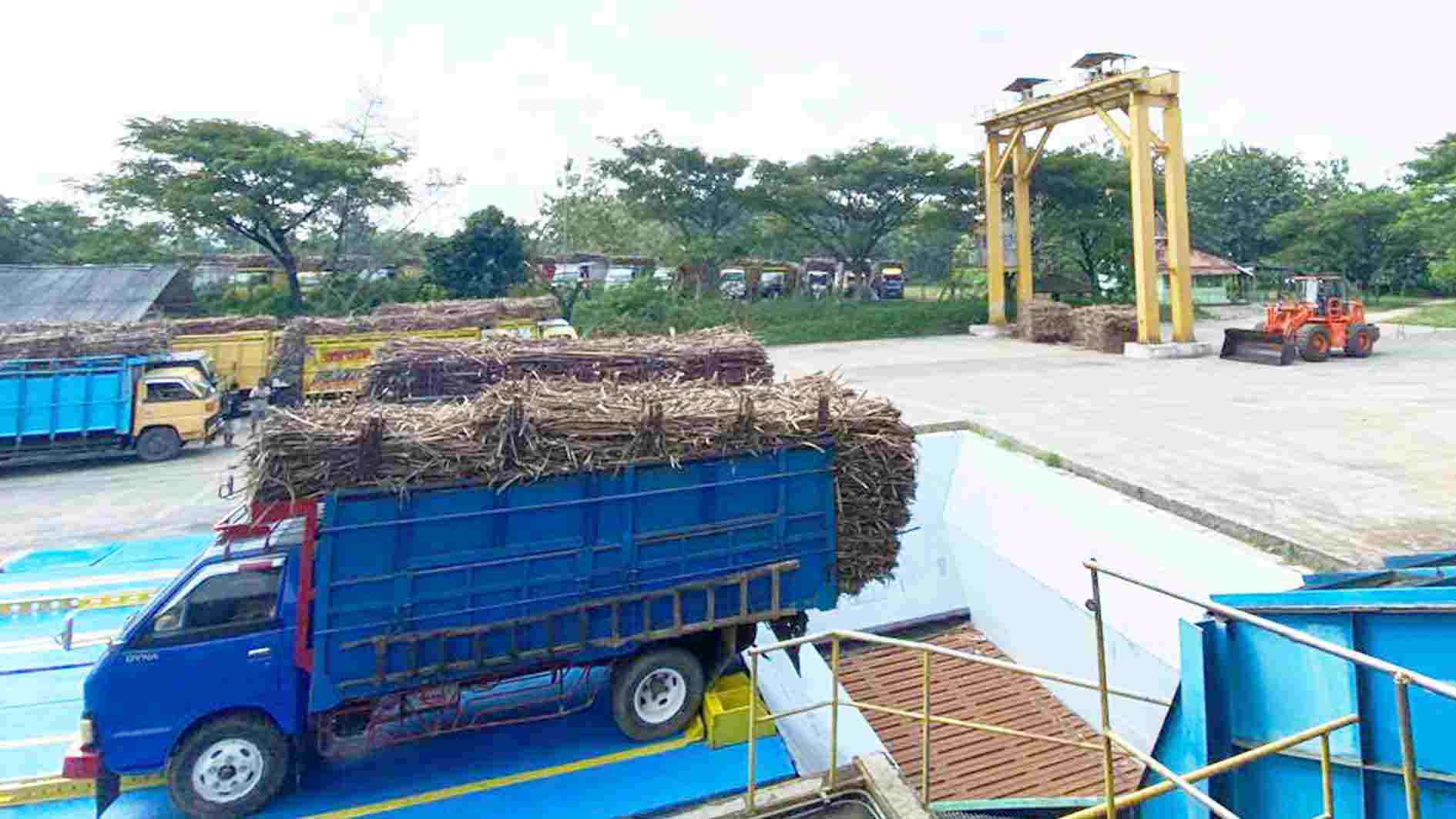 Masuk Musim Giling, Pabrik Gula Blora Mulai Terima Tebu Petani