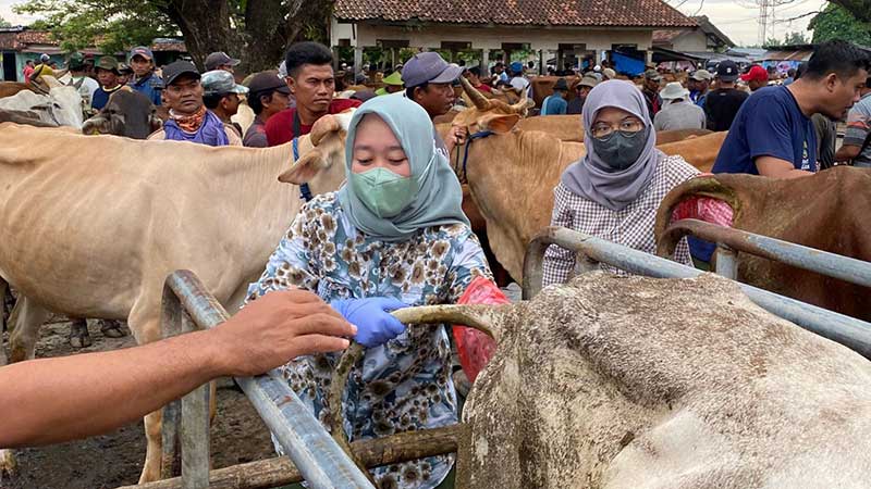 Baru ada Dua, DP4 Blora Ingin Tambah Puskeswan