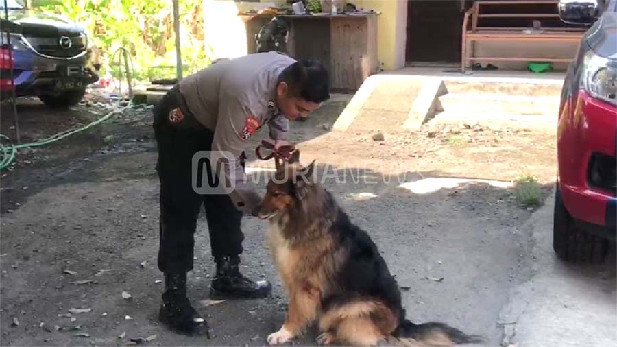 Mengintip Satwa di Unit Satwa K9 Polres Kudus, Ada Apa Saja?