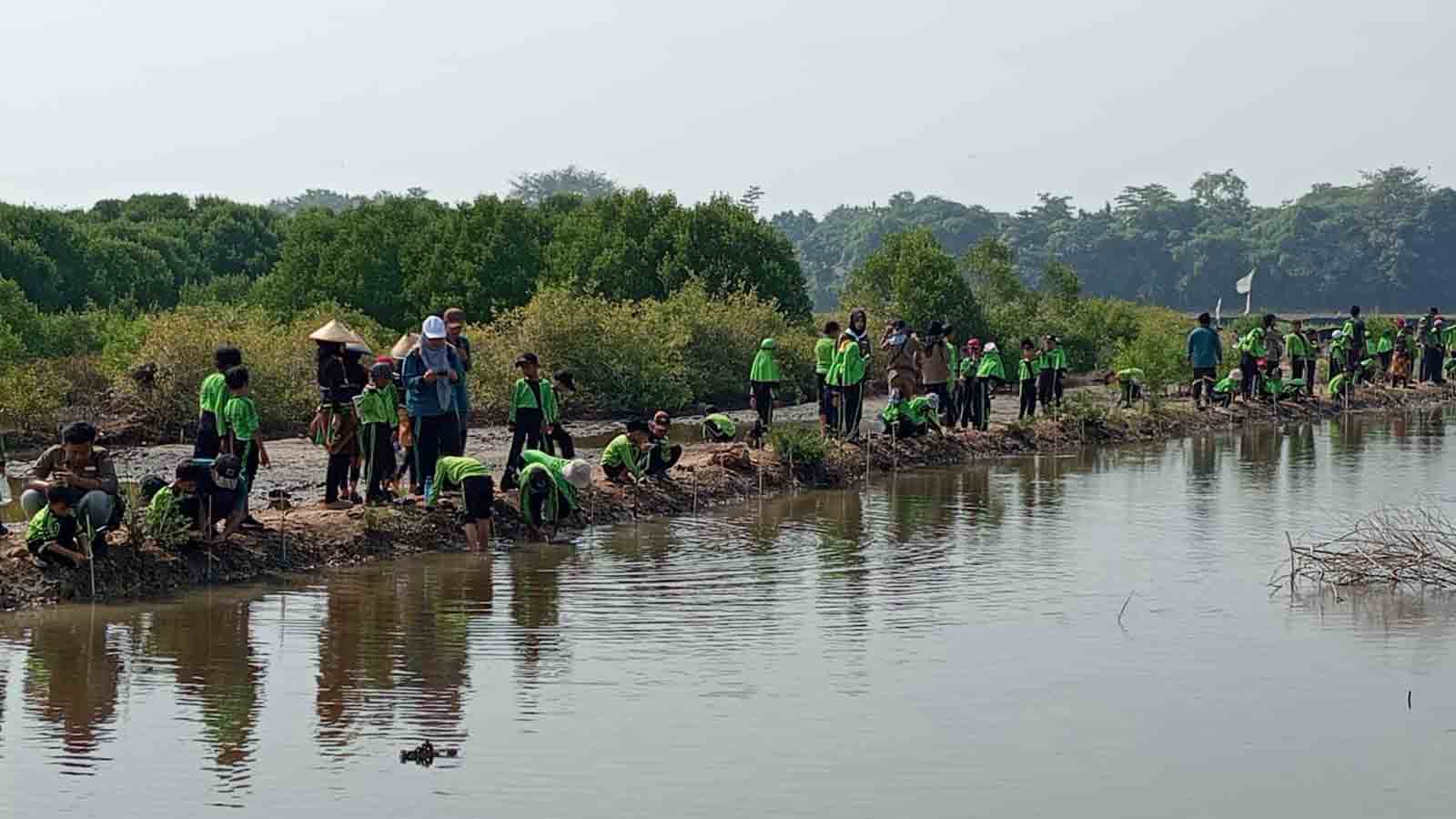 Pelajar SD IU Fadlun Nafis Jepara Tanam Mangrove