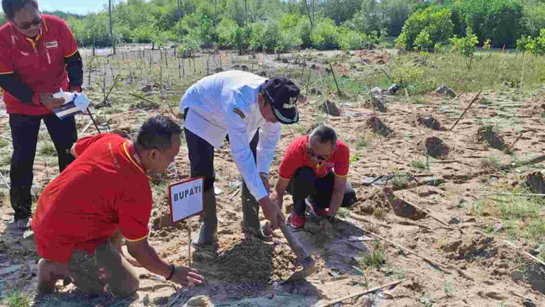 Aksi Penanaman Mangrove di Rembang Semarakkan HLH Sedunia