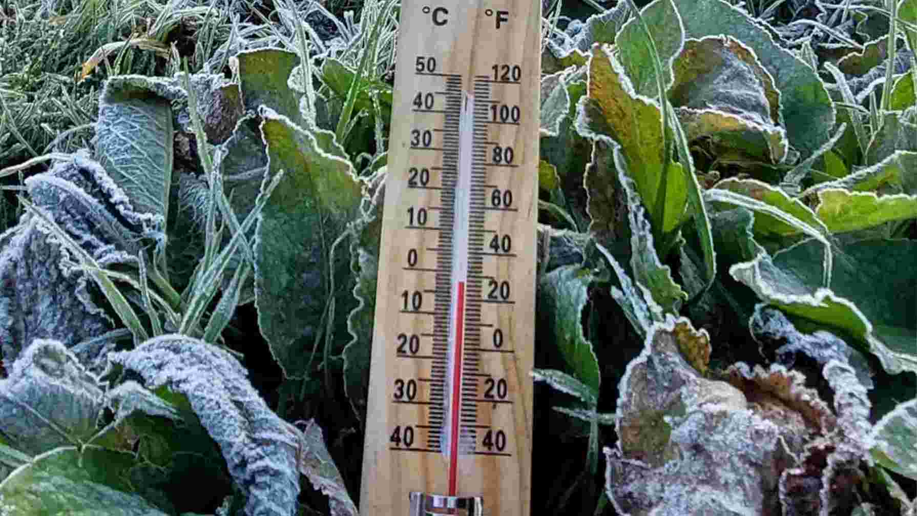 Embun di Dieng Membeku Hari Ini, Suhu Minus 2 Derajat Celcius