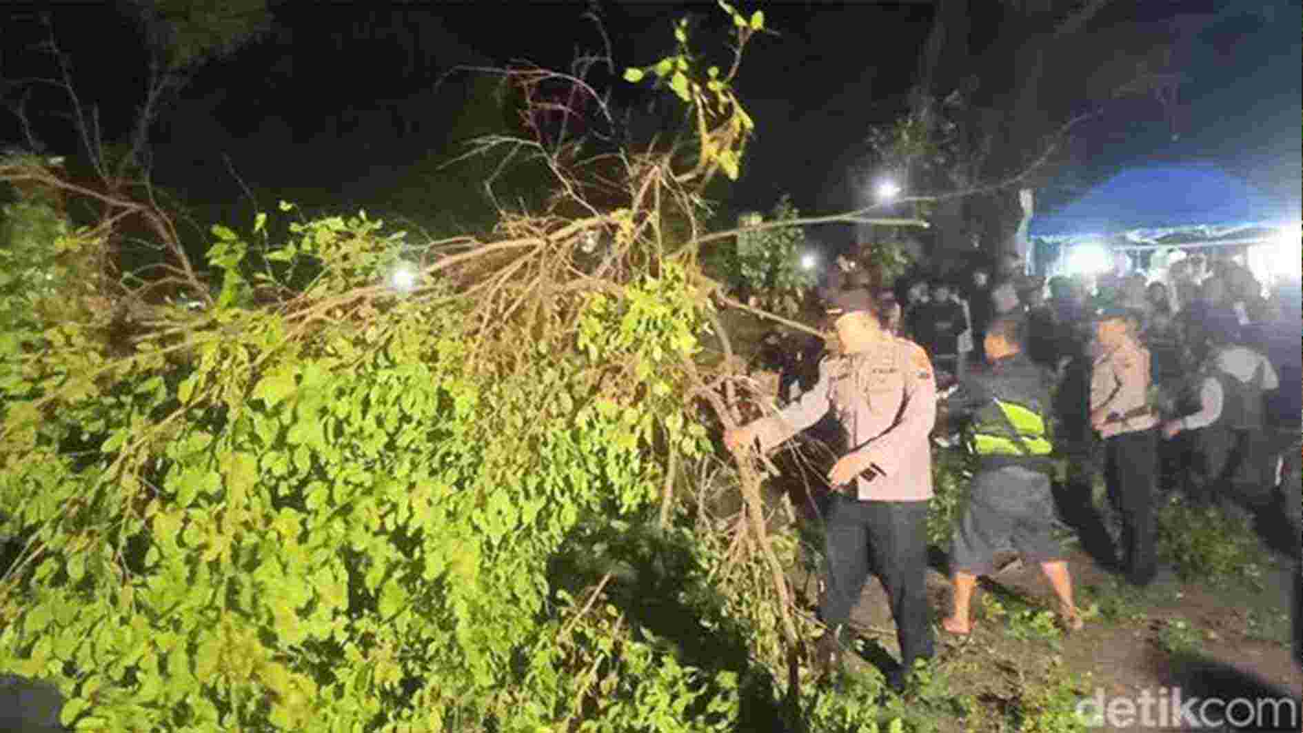 Pohon Beringin Alun-Alun Banjarnegara Tumbang, Lima Orang Luka