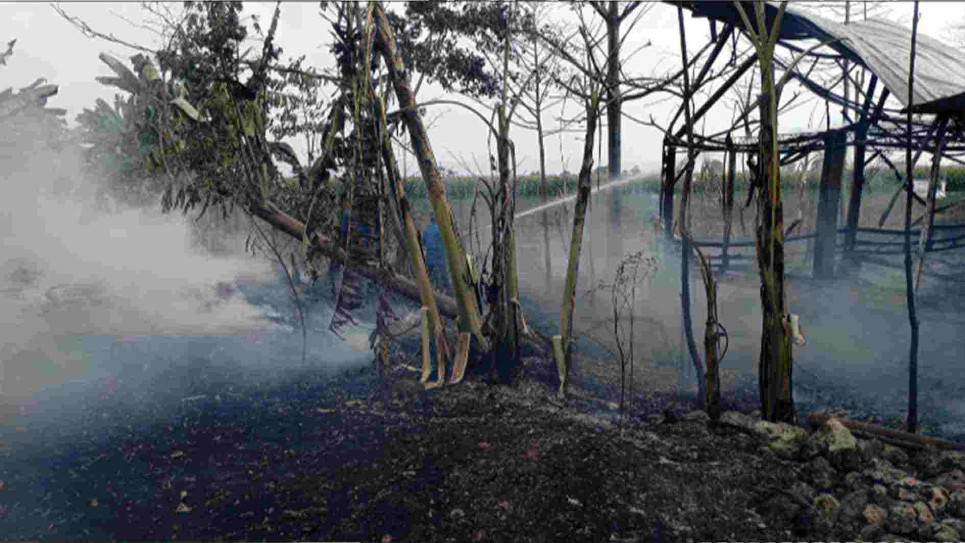 Kebakaran Menimpa Kandang Ayam di Srikaton Pati, Kerugian Rp 2 M