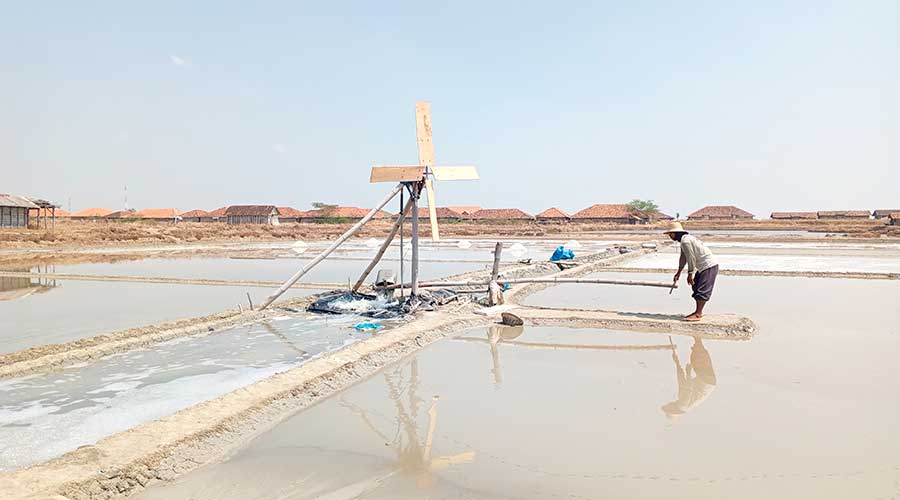 Kemarau, Air Laut untuk Produksi Garam di Pati Bercampur Lumpur