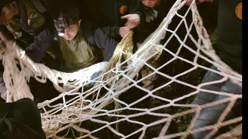 Seekor Harimau Sumatera Mati, Tertangkap Jerat Babi