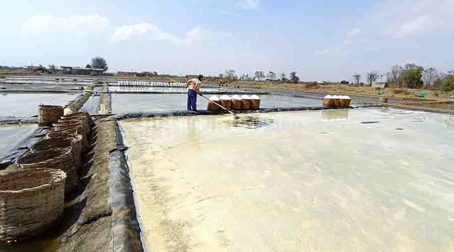 Panen Raya, Harga Garam Jepara Malah Anjlok