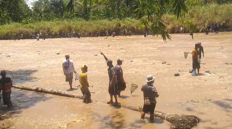Menengok Tradisi Tubo Desa Ngombak-Karanglangu Grobogan