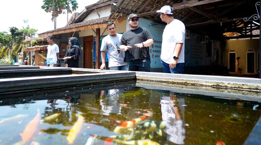 Pemkab Kediri Kembangkan Budi Daya Ikan Koi Sebagai Produk Unggulan