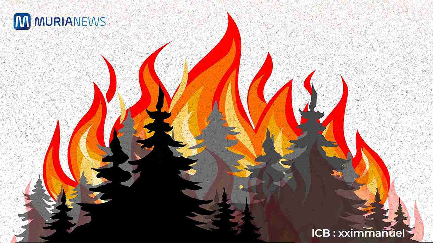 Alhamdulillah, Kebakaran Gunung Telomoyo Sudah Padam