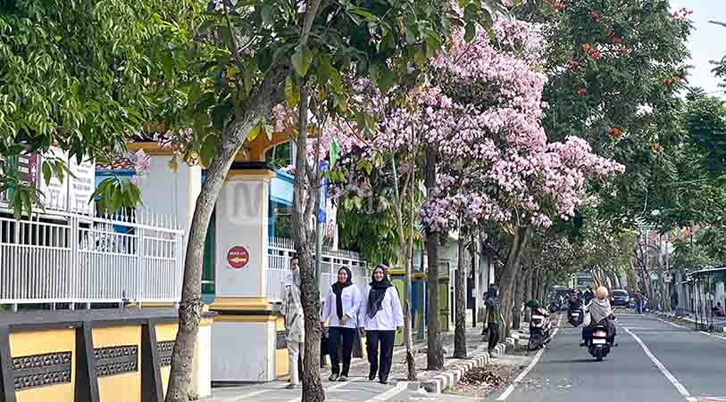 Jalanan Blora Ini Terasa Seperti di Jepang, di Sini Lokasinya