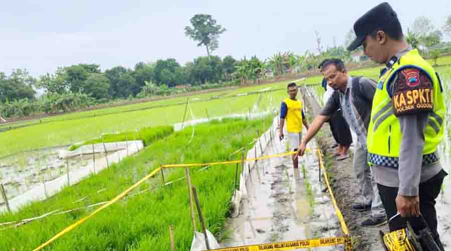 Kena Jebakan Tikus Beraliran Listrik, Nenek di Grobogan Meninggal