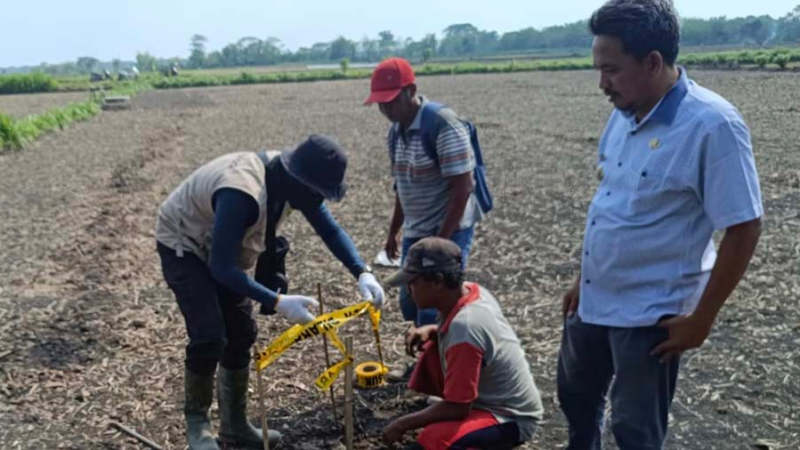 Mengejutkan! Ini Hasil Penyelidikan Potensi Lithium di Grobogan