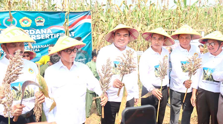 Mendes PDT Restui Blora Jadi Pusat Pengembangan Sorgum Nasional