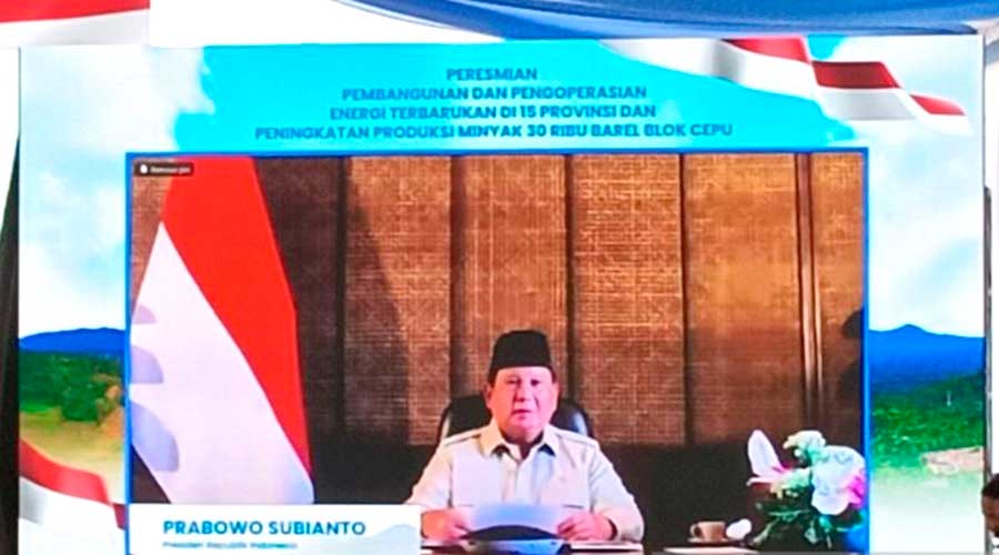 Presiden Prabowo Resmikan Puluhan PLTP dan PLTS di 15 Provinsi