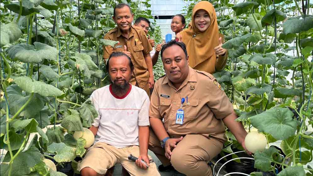 Ada Peluang Cuan untuk Milenial yang Mau Jadi Petani Grobogan!