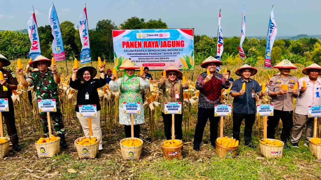 Petani Jagung Grobogan Jangan Risau, Enam Perusahaan Siap Serap Panen