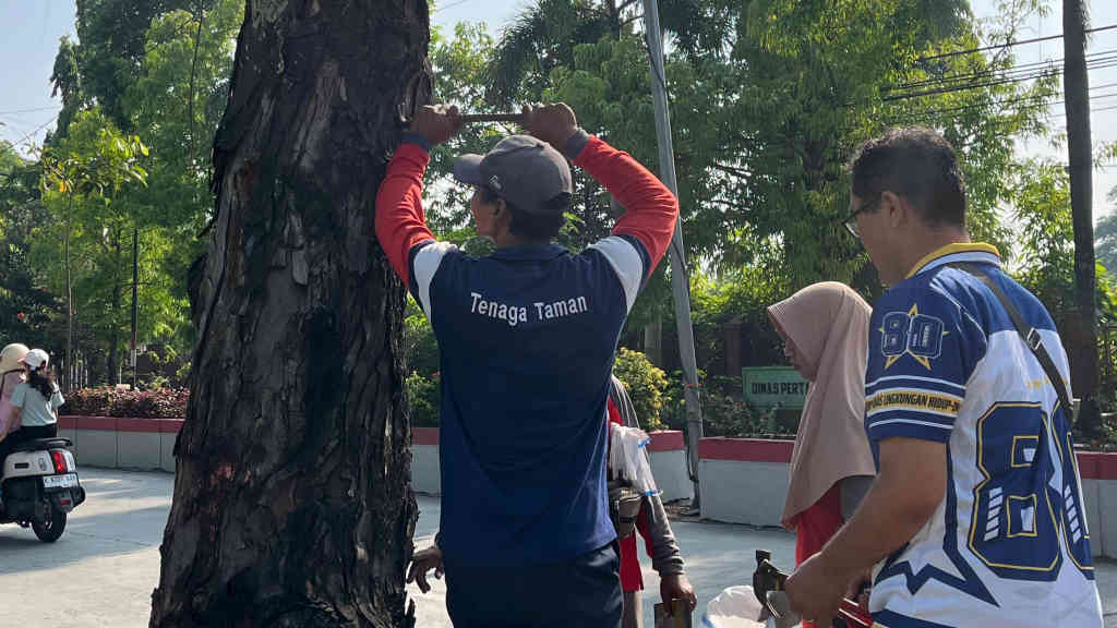 WCD di Grobogan Cabut Paku Sebanyak 31,4 Kg