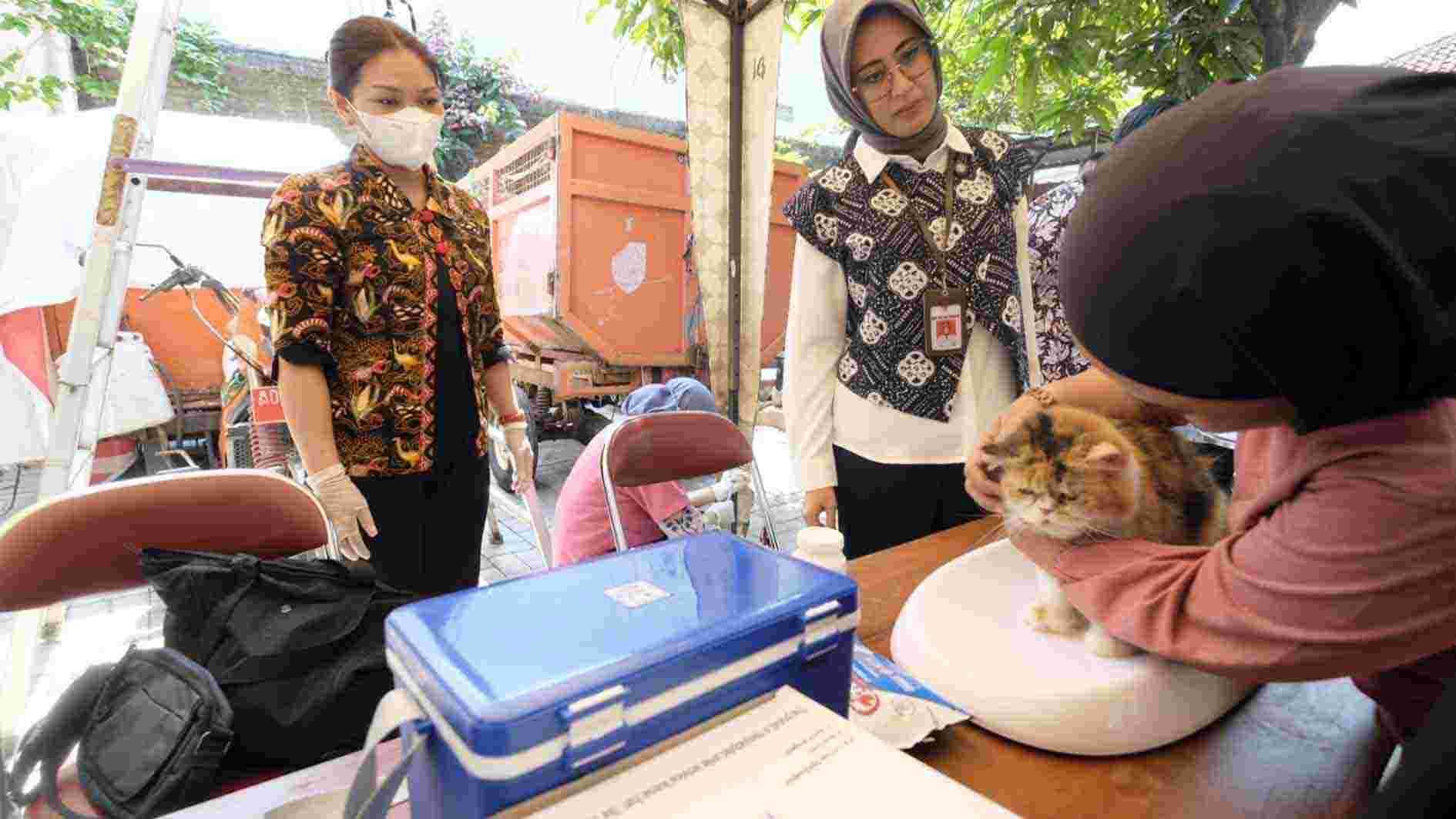 Pemkot Surakarta Sediakan 1.100 Dosisi Vaksin Rabies Gratis
