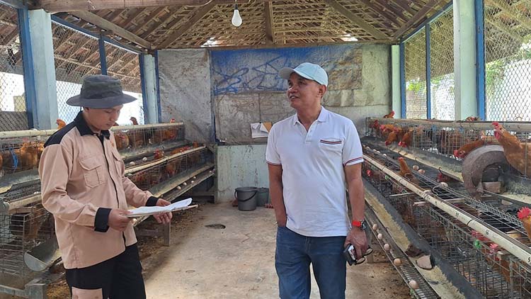 Ini Alasan Ketua DPRD Jateng Sumanto Ajak Masyarakat Beternak Ayam