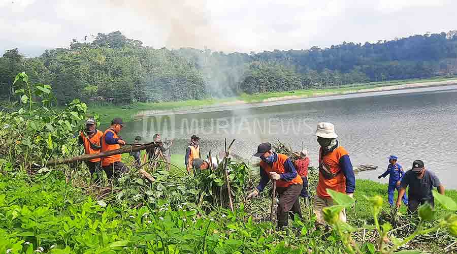 bikin-nelayan-resah-gulma-di-waduk-gunungrowo-pati-dibersihkan