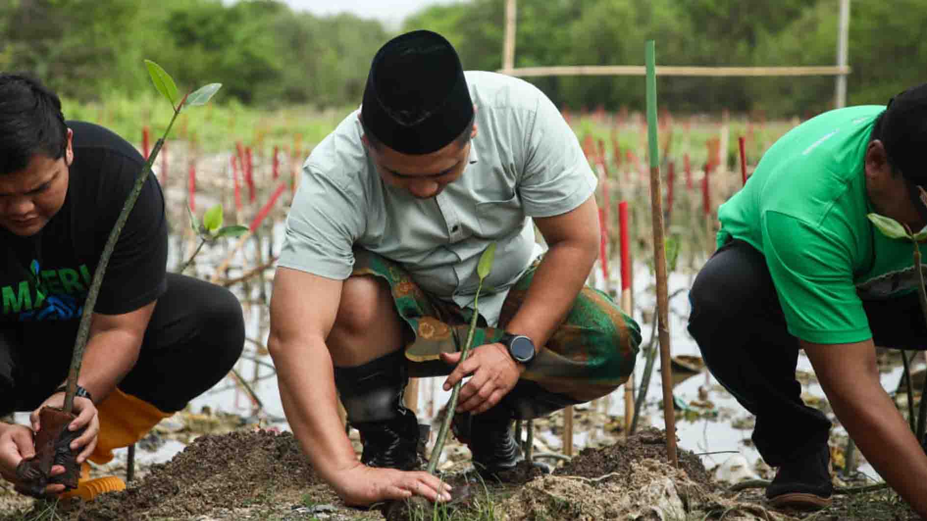 Tanam Mangrove di Jepara, Taj Yasin Ingatkan Pentingnya Jaga Ekosistem