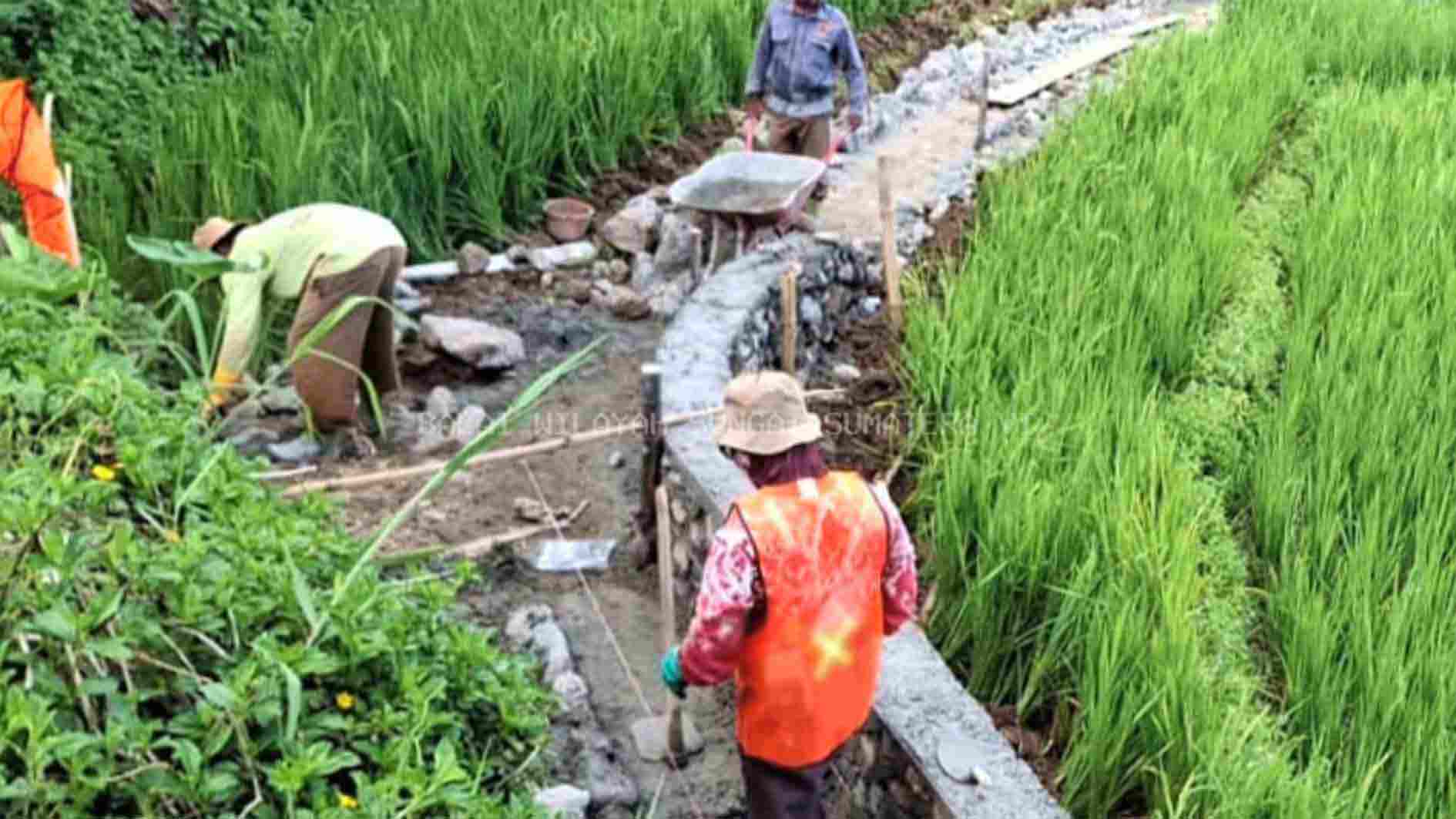 Blora Terima Anggaran Rp 38,22 Miliar untuk Perbaikan Jaringan Irigasi