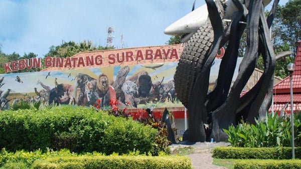 Eks Dirut Kebun Binatang Surabaya Diduga Korupsi, Nilainya Fantastis