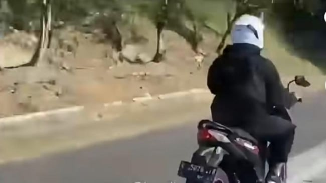 Ikuti Google Maps, Pemotor Asal Banyumas Tetiba Masuk Tol