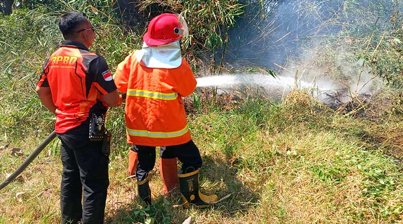 Dalam Sehari, Dua Kebakaran Lahan Terjadi di Kudus